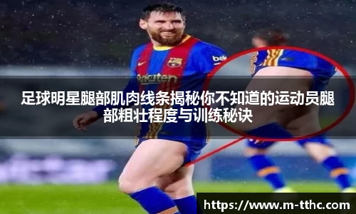 足球明星腿部肌肉线条揭秘你不知道的运动员腿部粗壮程度与训练秘诀